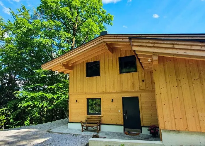 Das Haus Steger zu Stein
